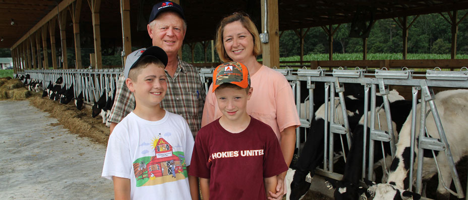 Hazelgrove_cows_0177_slider