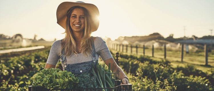 young farmer carrying a crate of freshly harvested herbs on the farm